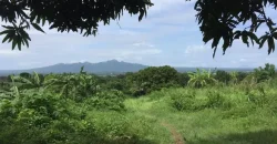 4ha Farm Lot with Mountain View in Tuy Batangas