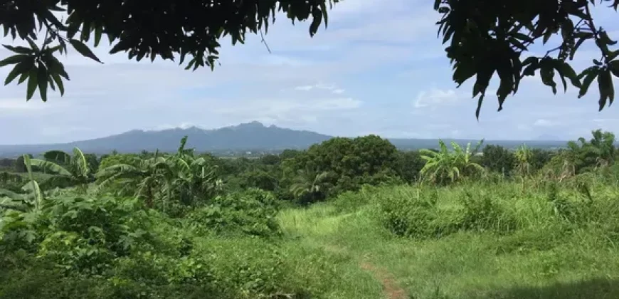 4ha Farm Lot with Mountain View in Tuy Batangas