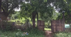 4ha Farm Lot with Mountain View in Tuy Batangas
