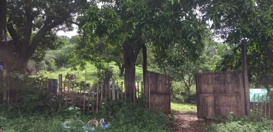 4ha Farm Lot with Mountain View in Tuy Batangas
