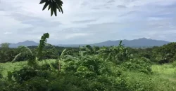 4ha Farm Lot with Mountain View in Tuy Batangas