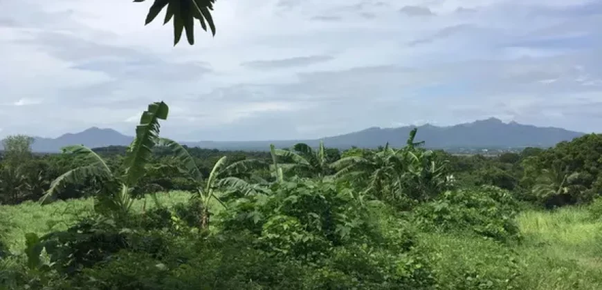 4ha Farm Lot with Mountain View in Tuy Batangas