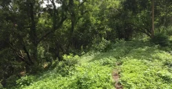 4ha Farm Lot with Mountain View in Tuy Batangas