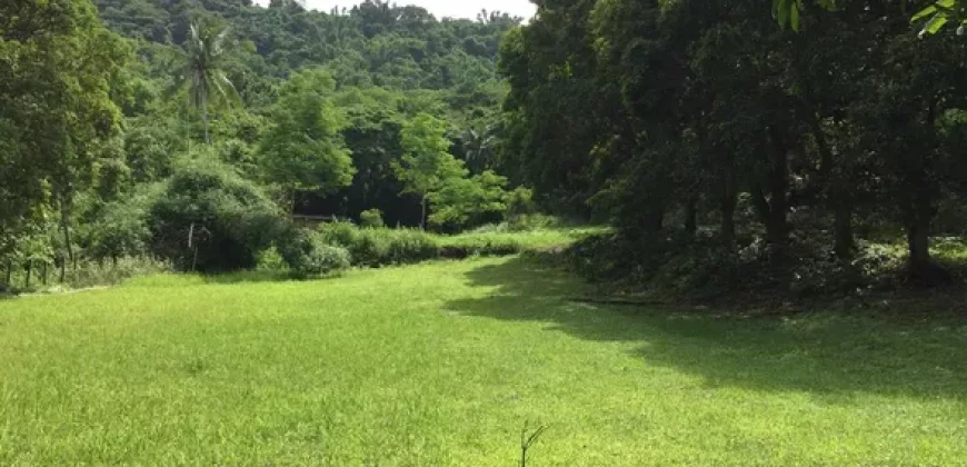 4ha Farm Lot with Mountain View in Tuy Batangas