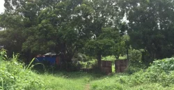 4ha Farm Lot with Mountain View in Tuy Batangas