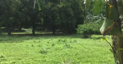 4ha Farm Lot with Mountain View in Tuy Batangas