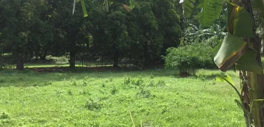 4ha Farm Lot with Mountain View in Tuy Batangas