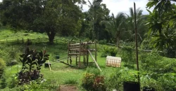 4ha Farm Lot with Mountain View in Tuy Batangas
