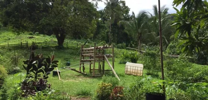 4ha Farm Lot with Mountain View in Tuy Batangas