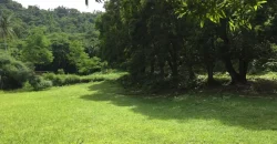 4ha Farm Lot with Mountain View in Tuy Batangas