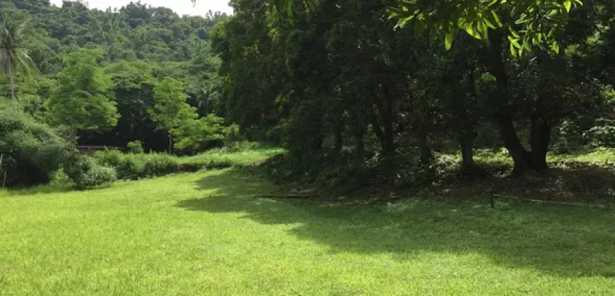 4ha Farm Lot with Mountain View in Tuy Batangas