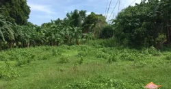 4ha Farm Lot with Mountain View in Tuy Batangas