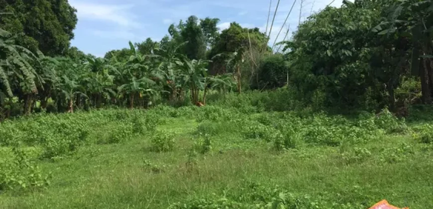 4ha Farm Lot with Mountain View in Tuy Batangas