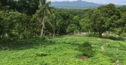 4ha Farm Lot with Mountain View in Tuy Batangas