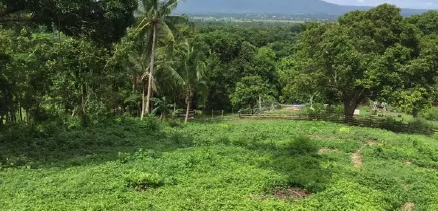 4ha Farm Lot with Mountain View in Tuy Batangas