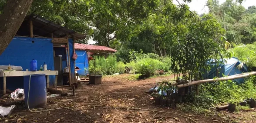 4ha Farm Lot with Mountain View in Tuy Batangas