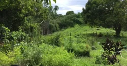4ha Farm Lot with Mountain View in Tuy Batangas