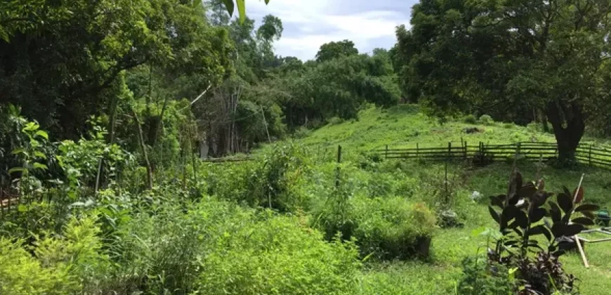 4ha Farm Lot with Mountain View in Tuy Batangas
