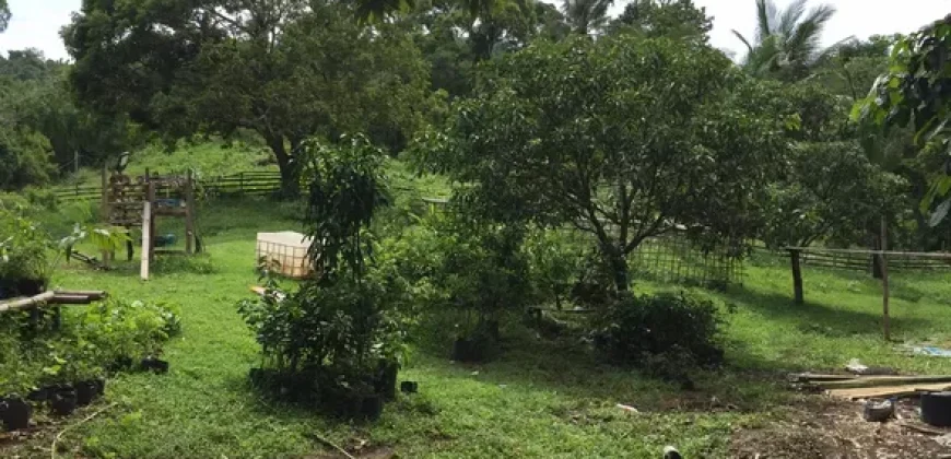 4ha Farm Lot with Mountain View in Tuy Batangas