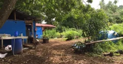 9 has farm land Mountain, Beach View near Tagaytay