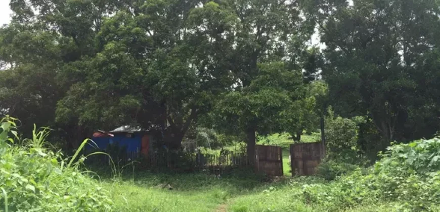 9 has farm land Mountain, Beach View near Tagaytay