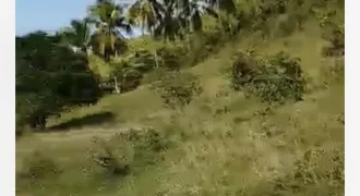Barangay Maghan-ay,Tuburan,Cebu 1.3 has near Colonia Elementary School