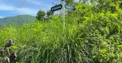 RUSH!!! VACANT LOT – CLUB MOROCCO RESIDENTIAL ESTATES, SUBIC