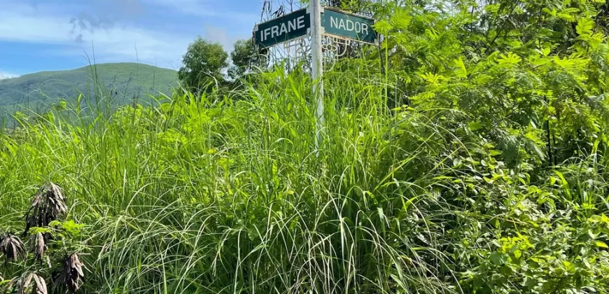 RUSH!!! VACANT LOT – CLUB MOROCCO RESIDENTIAL ESTATES, SUBIC