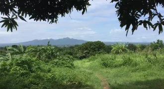 9 has farm land Mountain, Beach View near Tagaytay