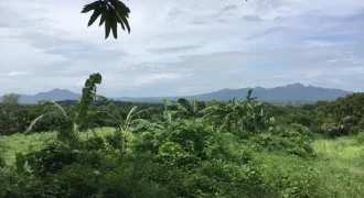 9 has of farm land Tuy, Batangas